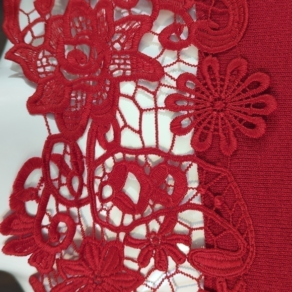 Holiday classic! Lace top sweater, super soft material. Gorgeous detail! Size XL - Picture 5 of 6